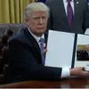 Meme Donald Trump