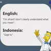 meme lucu, meme unik, meme translate, translate indonesia inggris