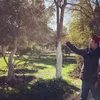 bebi silvana opick, opick ke palestina, opick ke jerusalem