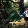 Seleb Dandan Disney