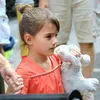 Suri Cruise