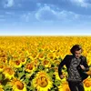 One Direction