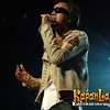 konser radja dan ratu