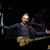 Sting