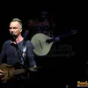Sting