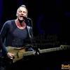 Sting