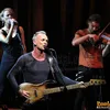 Sting