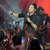 andra and the backbone