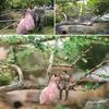 Prewedding