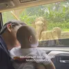 Liburan Nadya Shavira