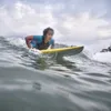 Dwi Sasono - Widi Mulia