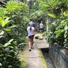 Marissa Nasution