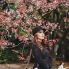 Liburan Momo Geisha
