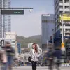 Audi Marissa Korea