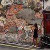 Dena Rachman