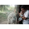 Baby Gempi