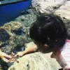Liburan Desta