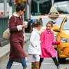 Liburan Seru Suri Cruise