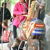 Liburan Seru Suri Cruise