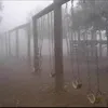 Foto Seram