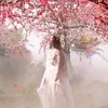 Liu Yifei