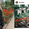 \&#039;Lovestagram\&#039; Suzy dan Rose BLACKPINK 