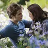 Twilight Saga