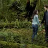 Twilight Saga