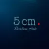5cm: Revolusi Hati