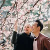 Daniel Mananta dan Viola Melihat Bunga Sakura