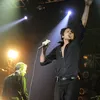 Suede / Shontelle / Taio Cruz