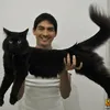 Lucky Hakim