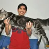 Lucky Hakim