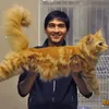 Lucky Hakim