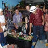 lucky perdana