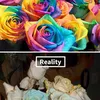 Instagram Gagal