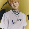 Chenle NCT Dream