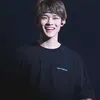 Chenle NCT Dream