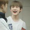 Chenle NCT Dream