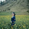 Vita Alvia