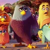 Angry Birds
