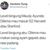 maudy ayunda