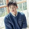 Pekerjaan Bintang Korea