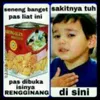 Meme rengginang