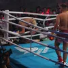 Vicky Prasetyo tinju lawan Aldi Taher