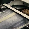 Interstellar