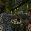 Official Trailer IDN Pictures