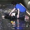 Idol K-Pop Pingsan