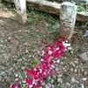 Makam Abiem Ngesti