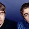 Film Dokumenter OASIS